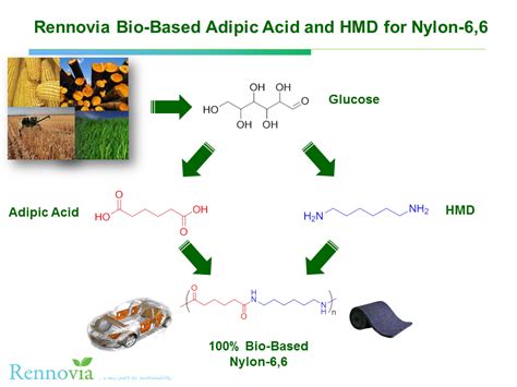  Adipic Acid: A Versatile Workhorse in Nylon Production and Flavor Enhancement?