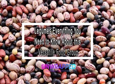 Understanding Urdbean: A Versatile Legume for Food and Industrial Applications!