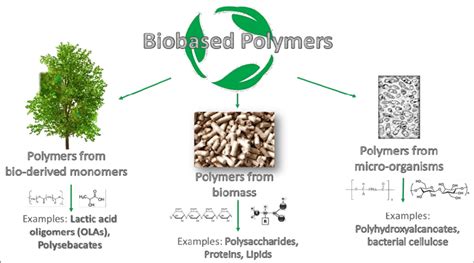  Xylan: Exploring the Potential of this Bio-Based Wonder Polymer for Sustainable Packaging Applications!